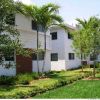immobilier usa